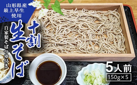十割生そば5人前 (東北・北陸・関東・関西地方のみ配送可）F7W-0019